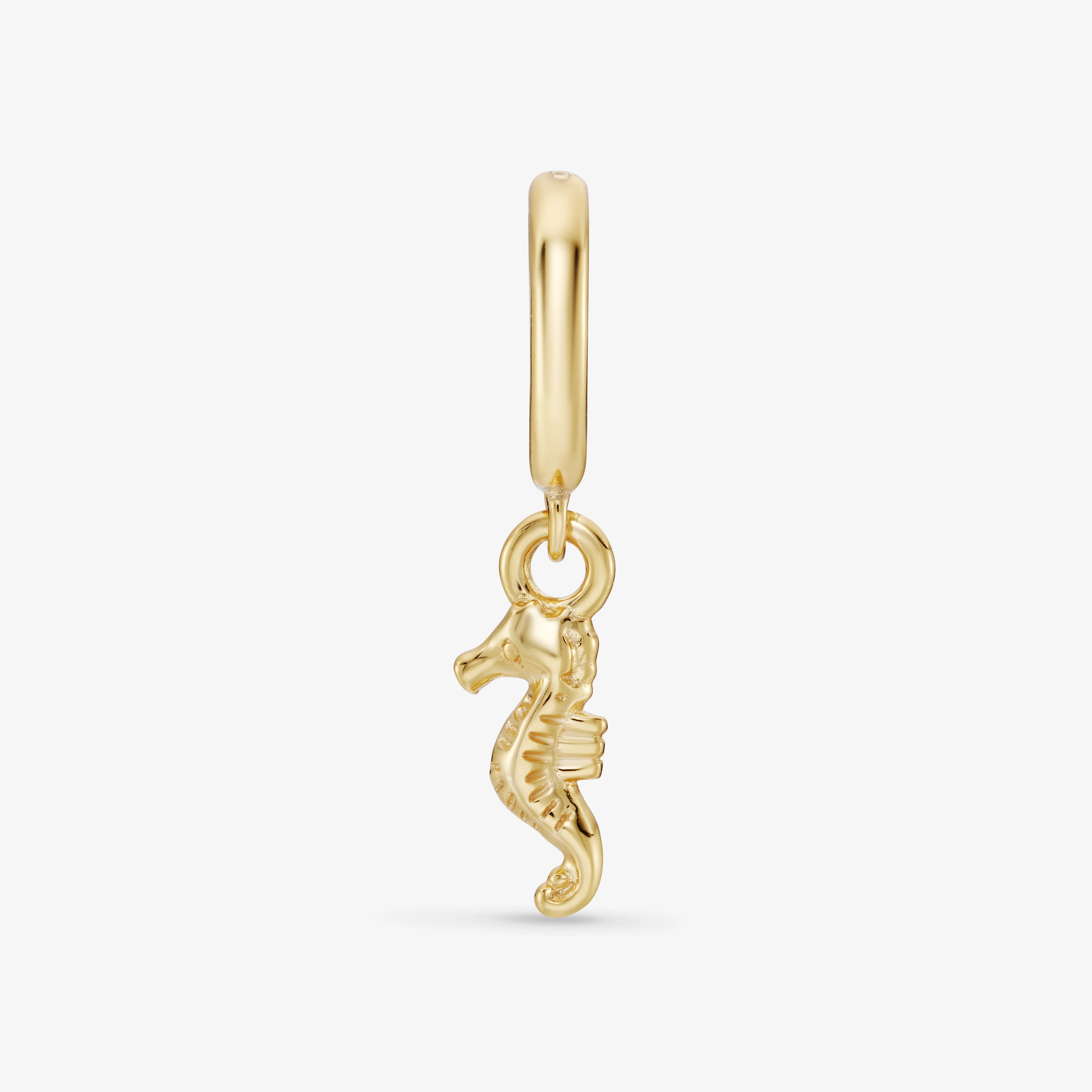Boucles d'oreilles en Argent Fin